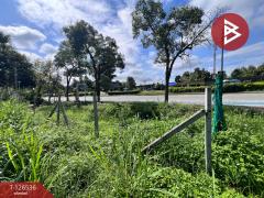 ขายที่ดินเปล่า เนื้อที่ 98 ตร.วา หางดง เชียงใหม่-202511131355241763016924346.jpg