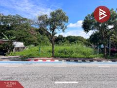 ขายที่ดินเปล่า เนื้อที่ 98 ตร.วา หางดง เชียงใหม่-202511131355241763016924896.jpg