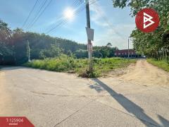  ขายที่ดิน เนื้อที่ 2 ไร่ 3.8 ตร.วา ทับมา ระยอง-202511131439091763019549316.jpg