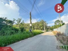  ขายที่ดิน เนื้อที่ 2 ไร่ 3.8 ตร.วา ทับมา ระยอง-202511131439101763019550404.jpg