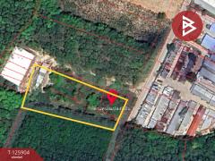  ขายที่ดิน เนื้อที่ 2 ไร่ 3.8 ตร.วา ทับมา ระยอง-202511131439111763019551492.jpg