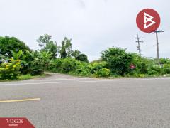 ขายที่ดิน เนื้อที่ 3 ไร่ 2 งาน 80 ตร.วา บ้านมะเกลือ นครสวรรค์-202511131503101763020990772.jpg