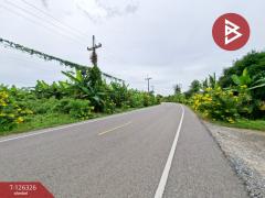 ขายที่ดิน เนื้อที่ 3 ไร่ 2 งาน 80 ตร.วา บ้านมะเกลือ นครสวรรค์-202511131503111763020991325.jpg