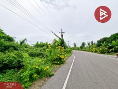 ขายที่ดิน เนื้อที่ 3 ไร่ 2 งาน 80 ตร.วา บ้านมะเกลือ นครสวรรค์-202511131503121763020992430.jpg