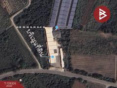 ขายที่ดิน เนื้อที่ 3 ไร่ 2 งาน 80 ตร.วา บ้านมะเกลือ นครสวรรค์-202511131503131763020993525.jpg