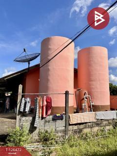 ขายหอพักชั้นเดียว เนื้อที่ 2 ไร่ 2 งาน 3 ตร.วา พิษณุโลก ทำเลดีติดมหาลัย-202511131518391763021919774.jpg