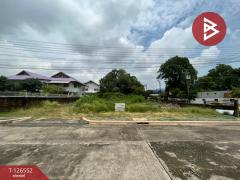 ขายที่ดิน-ในหมู่บ้านรอยัลปาล์มวิลล