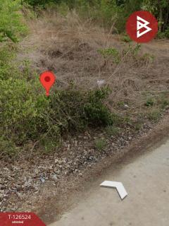 ขายที่ดิน เนื้อที่ 4 ไร่ 2 งาน 13 ตร.วา หนองฉาง อุทัยธานี-202511131600231763024423983.jpg