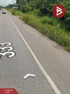 ขายที่ดิน เนื้อที่ 4 ไร่ 2 งาน 13 ตร.วา หนองฉาง อุทัยธานี-202511131600251763024425035.jpg