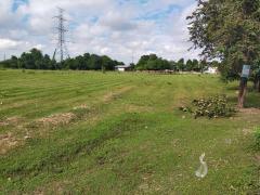 ขายที่ดินสวย ราคาถูก ต.ปากช่อง อ.จอมบึง จ.ราชบุรี-202511131630051763026205544.jpg