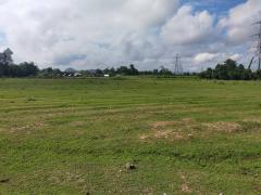 ขายที่ดินสวย ราคาถูก ต.ปากช่อง อ.จอมบึง จ.ราชบุรี-202511131630061763026206149.jpg