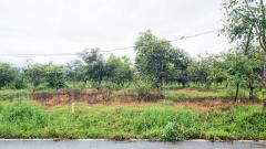 ขายที่ดินลี้ ลำพูน 23 ไร่กว่า วิวภูเขา บรรยากาศธรรมชาติ ราคาดี