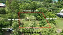 ที่ดิน 200 ตารางวา ถมแล้ว มีโฉนด หน้าโรงพยาบาลปากพลี ขาย 7 แสนบาทพร้อมโอน-202511131925021763036702191.jpg