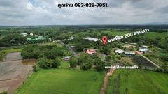 ที่ดิน 200 ตารางวา ถมแล้ว มีโฉนด หน้าโรงพยาบาลปากพลี ขาย 7 แสนบาทพร้อมโอน-202511131925051763036705036.jpg