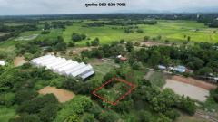 ที่ดิน 200 ตารางวา ถมแล้ว มีโฉนด หน้าโรงพยาบาลปากพลี ขาย 7 แสนบาทพร้อมโอน-202511131925061763036706497.jpg