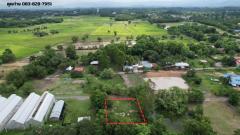 ที่ดิน 200 ตารางวา ถมแล้ว มีโฉนด หน้าโรงพยาบาลปากพลี ขาย 7 แสนบาทพร้อมโอน-202511131925061763036706991.jpg