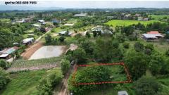 ที่ดิน 200 ตารางวา ถมแล้ว มีโฉนด หน้าโรงพยาบาลปากพลี ขาย 7 แสนบาทพร้อมโอน-202511131925071763036707958.jpg