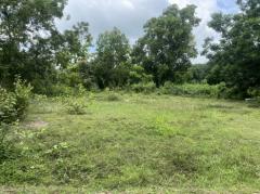 ที่ดิน 200 ตารางวา ถมแล้ว มีโฉนด หน้าโรงพยาบาลปากพลี ขาย 7 แสนบาทพร้อมโอน-202511131925091763036709410.jpg