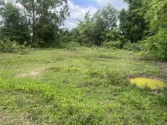 ที่ดิน 200 ตารางวา ถมแล้ว มีโฉนด หน้าโรงพยาบาลปากพลี ขาย 7 แสนบาทพร้อมโอน-202511131925101763036710379.jpg