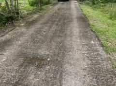 ที่ดิน 200 ตารางวา ถมแล้ว มีโฉนด หน้าโรงพยาบาลปากพลี ขาย 7 แสนบาทพร้อมโอน-202511131925101763036710876.jpg