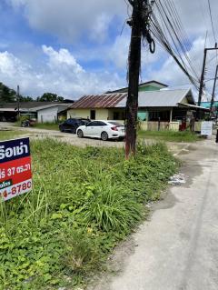 ขายหรือให้เช่าถูกมาก!! ที่ดิน 1ไร่37ตร.ว. ติดถนน ใจกลางอ.เมืองระนอง ใกล้ตลาดใหม่ภักดี ตลาดเทศบาล ถนนคนเดิน-202511132044271763041467667.jpg