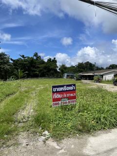 ขายหรือให้เช่าถูกมาก!! ที่ดิน 1ไร่37ตร.ว. ติดถนน ใจกลางอ.เมืองระนอง ใกล้ตลาดใหม่ภักดี ตลาดเทศบาล ถนนคนเดิน-202511132044311763041471274.jpg