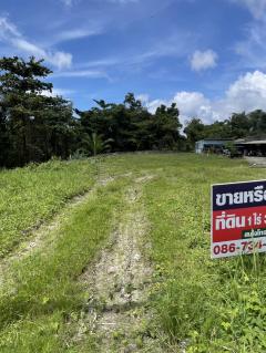 ขายหรือให้เช่าถูกมาก!! ที่ดิน 1ไร่37ตร.ว. ติดถนน ใจกลางอ.เมืองระนอง ใกล้ตลาดใหม่ภักดี ตลาดเทศบาล ถนนคนเดิน-202511132044331763041473031.jpg