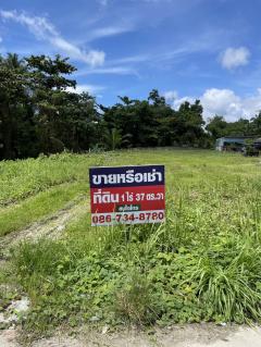 ขายหรือให้เช่าถูกมาก!! ที่ดิน 1ไร่37ตร.ว. ติดถนน ใจกลางอ.เมืองระนอง ใกล้ตลาดใหม่ภักดี ตลาดเทศบาล ถนนคนเดิน-202511132044331763041473960.jpg