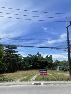 ขายหรือให้เช่าถูกมาก!! ที่ดิน 1ไร่37ตร.ว. ติดถนน ใจกลางอ.เมืองระนอง ใกล้ตลาดใหม่ภักดี ตลาดเทศบาล ถนนคนเดิน-202511132044341763041474558.jpg
