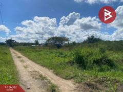 ขายที่ดิน เนื้อที่ 10 ไร่ 2 งาน 17 ตารางวา ชะอำ เพชรบุรี ติดถนนเพชรเกษม-202511132050431763041843255.jpg