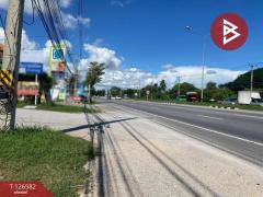 ขายที่ดิน เนื้อที่ 10 ไร่ 2 งาน 17 ตารางวา ชะอำ เพชรบุรี ติดถนนเพชรเกษม-202511132050441763041844100.jpg