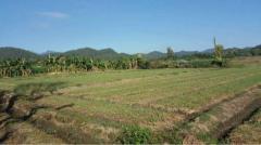 ที่ดินติดถนน วิวสวย  อากาศดี โฉนดพร้อมโอน เมืองนะ เชียงดาว