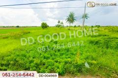 DD-004969 ที่ดินศีรษะกระบือ 52 ตร.ว. องครักษ์ นครนายก ใกล้มหาวิทยาลัยศรีนครินทรวิโรฒ องครักษ์-202511140930321763087432325.jpg