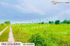 DD-004969 ที่ดินศีรษะกระบือ 52 ตร.ว. องครักษ์ นครนายก ใกล้มหาวิทยาลัยศรีนครินทรวิโรฒ องครักษ์-202511140930331763087433443.jpg