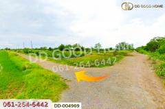 DD-004969 ที่ดินศีรษะกระบือ 52 ตร.ว. องครักษ์ นครนายก ใกล้มหาวิทยาลัยศรีนครินทรวิโรฒ องครักษ์-202511140930341763087434940.jpg