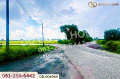 DD-004969 ที่ดินศีรษะกระบือ 52 ตร.ว. องครักษ์ นครนายก ใกล้มหาวิทยาลัยศรีนครินทรวิโรฒ องครักษ์-202511140930351763087435734.jpg