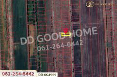 DD-004969 ที่ดินศีรษะกระบือ 52 ตร.ว. องครักษ์ นครนายก ใกล้มหาวิทยาลัยศรีนครินทรวิโรฒ องครักษ์-202511140930381763087438493.jpg