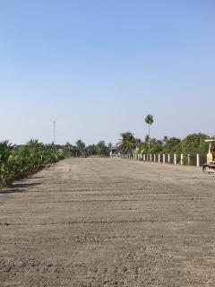 ขายที่ดิน (โฉนด) ติดแม่น้ำท่าจีน 1 ไร่ 2 งาน 60 ตร.ว. กระทุ่มแบน จ.สมุทรสาคร โทร 0925506068-202511141344181763102658731.jpg