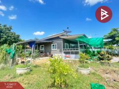 ขายบ้านเดี่ยวชั้นเดียว เนื้อที่ 2 งาน 80 ตร.วา อู่ทอง สุพรรณบุรี-202511141419461763104786688.jpg