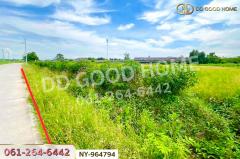 NY-964794 ที่ดินมาบไผ่ 10 ไร่ 391 ตร.ว. ชลบุรี ใกล้โรงเรียนนานาชาติเวลล์ส ชลบุรี-202511141432501763105570913.jpg