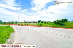 NY-964794 ที่ดินมาบไผ่ 10 ไร่ 391 ตร.ว. ชลบุรี ใกล้โรงเรียนนานาชาติเวลล์ส ชลบุรี-202511141432511763105571487.jpg