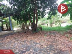 ขายที่ดินพร้อมสิ่งปลูกสร้าง เนื้อที่ 2 งาน 72 ตร.วา มีนบุรี กรุงเทพมหานคร-202511141504011763107441301.jpg