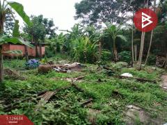 ขายที่ดินพร้อมสิ่งปลูกสร้าง เนื้อที่ 2 งาน 72 ตร.วา มีนบุรี กรุงเทพมหานคร-202511141504011763107441846.jpg