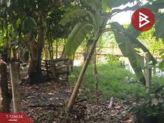 ขายที่ดินพร้อมสิ่งปลูกสร้าง เนื้อที่ 2 งาน 72 ตร.วา มีนบุรี กรุงเทพมหานคร-202511141504051763107445019.jpg