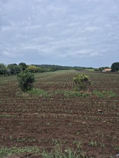 ขายที่ดิน 24ไร่ 1งาน 86ตร.ว.-202511141511081763107868154.jpg