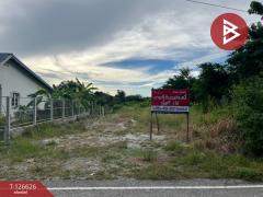 ขายที่ดิน เนื้อที่ 1 ไร่ หนองรี ชลบุรี-202511141550271763110227416.jpg