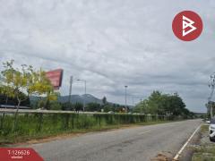 ขายที่ดิน เนื้อที่ 1 ไร่ หนองรี ชลบุรี-202511141550271763110227943.jpg