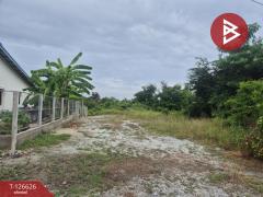 ขายที่ดิน เนื้อที่ 1 ไร่ หนองรี ชลบุรี-202511141550281763110228465.jpg