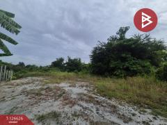 ขายที่ดิน เนื้อที่ 1 ไร่ หนองรี ชลบุรี-202511141550291763110229270.jpg