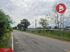 ขายที่ดิน เนื้อที่ 1 ไร่ หนองรี ชลบุรี-202511141550291763110229805.jpg